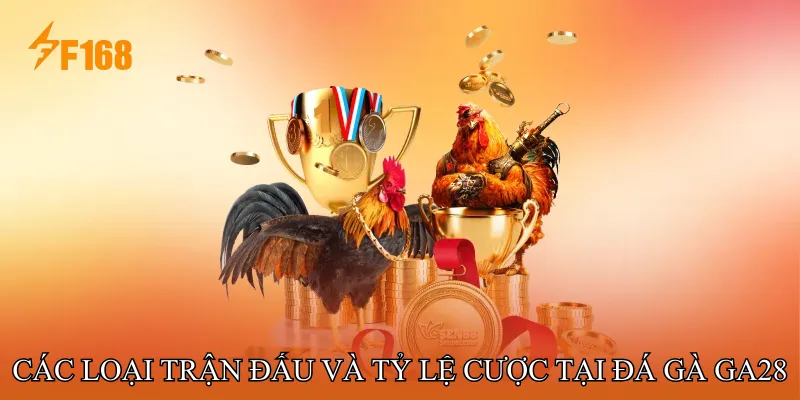 Các loại trận đấu và tỷ lệ cược tại Đá gà GA28