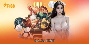 Đá Gà ODIN Trực Tiếp Trận Đấu Sống Động Trên Nền Tảng F168
