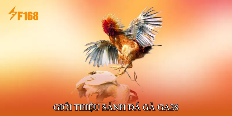 Giới thiệu Sảnh Đá gà GA28