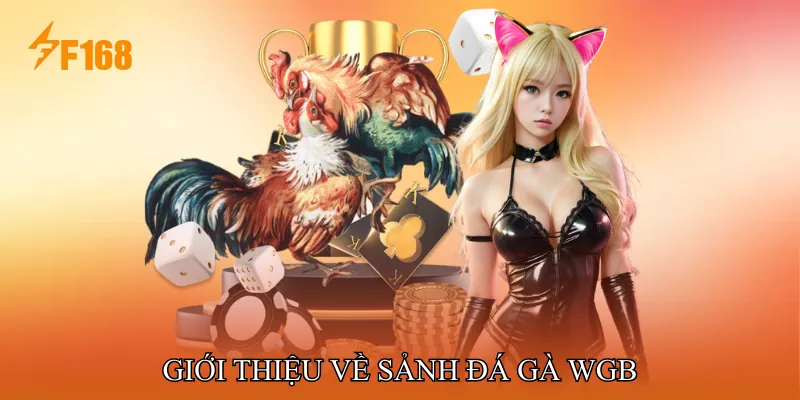 Giới thiệu về Sảnh Đá gà WGB Giới thiệu về Sảnh Đá gà WGB
