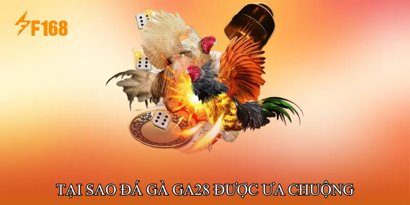 Tại sao Đá gà GA28 được ưa chuộng
